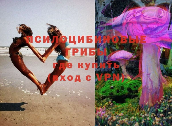 a pvp Зеленокумск