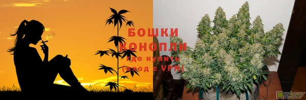 ГАЛЛЮЦИНОГЕННЫЕ ГРИБЫ Зерноград