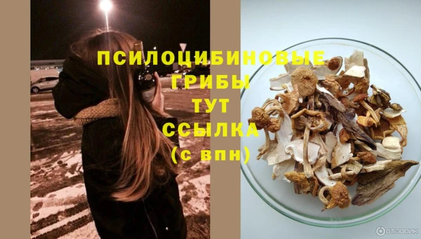 ГАЛЛЮЦИНОГЕННЫЕ ГРИБЫ Зерноград
