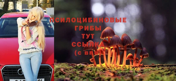 ГАЛЛЮЦИНОГЕННЫЕ ГРИБЫ Зерноград