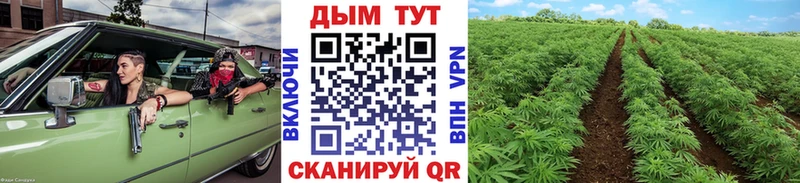 Каннабис Ganja Зея